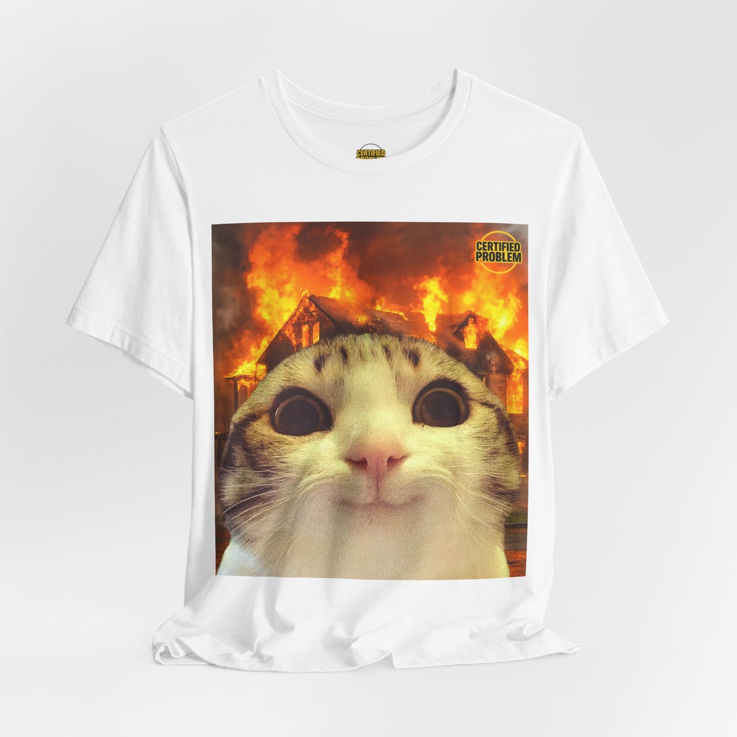 CERTIFIED PROBLEM™ Meme Tee – Wear Your Mood