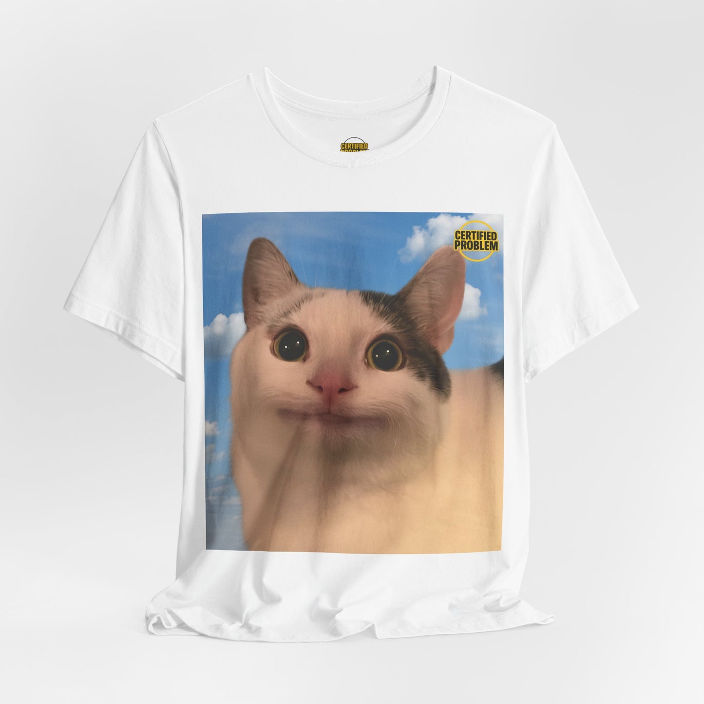 CERTIFIED PROBLEM™ Meme Tee – Wear Your Mood