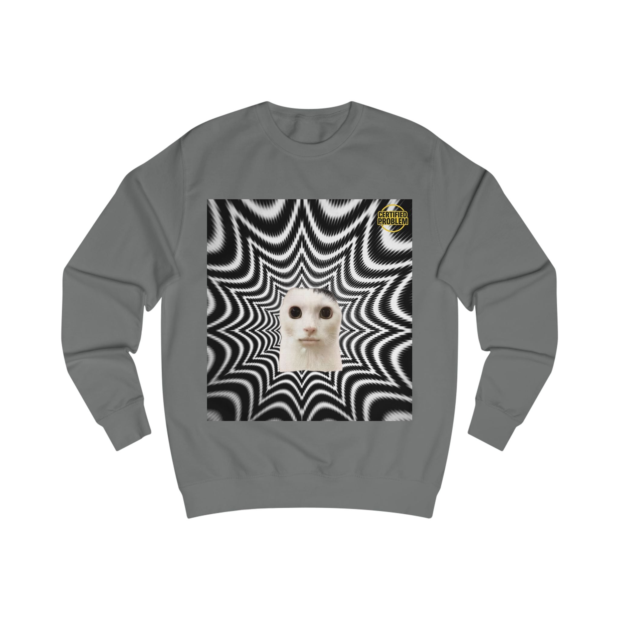 CERTIFIED PROBLEM™ Meme Sweatshirt – Wear Your Mood