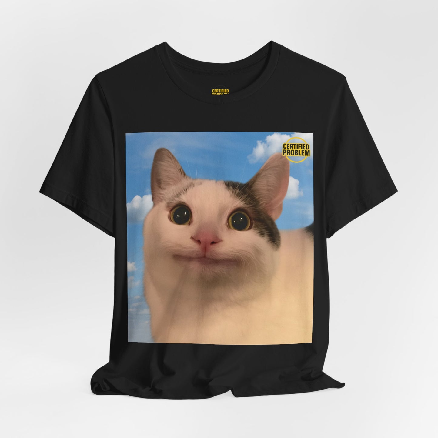 CERTIFIED PROBLEM™ Meme Tee – Wear Your Mood